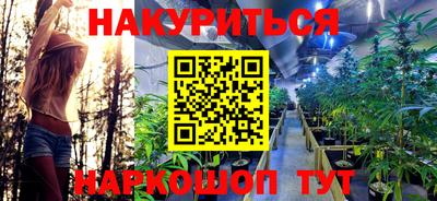 СК Лесосибирск