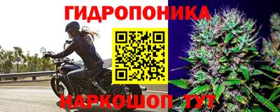 СК Лесосибирск