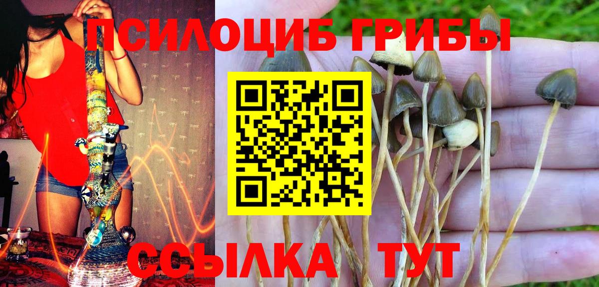 Псилоцибиновые грибы прущие грибы Дивногорск